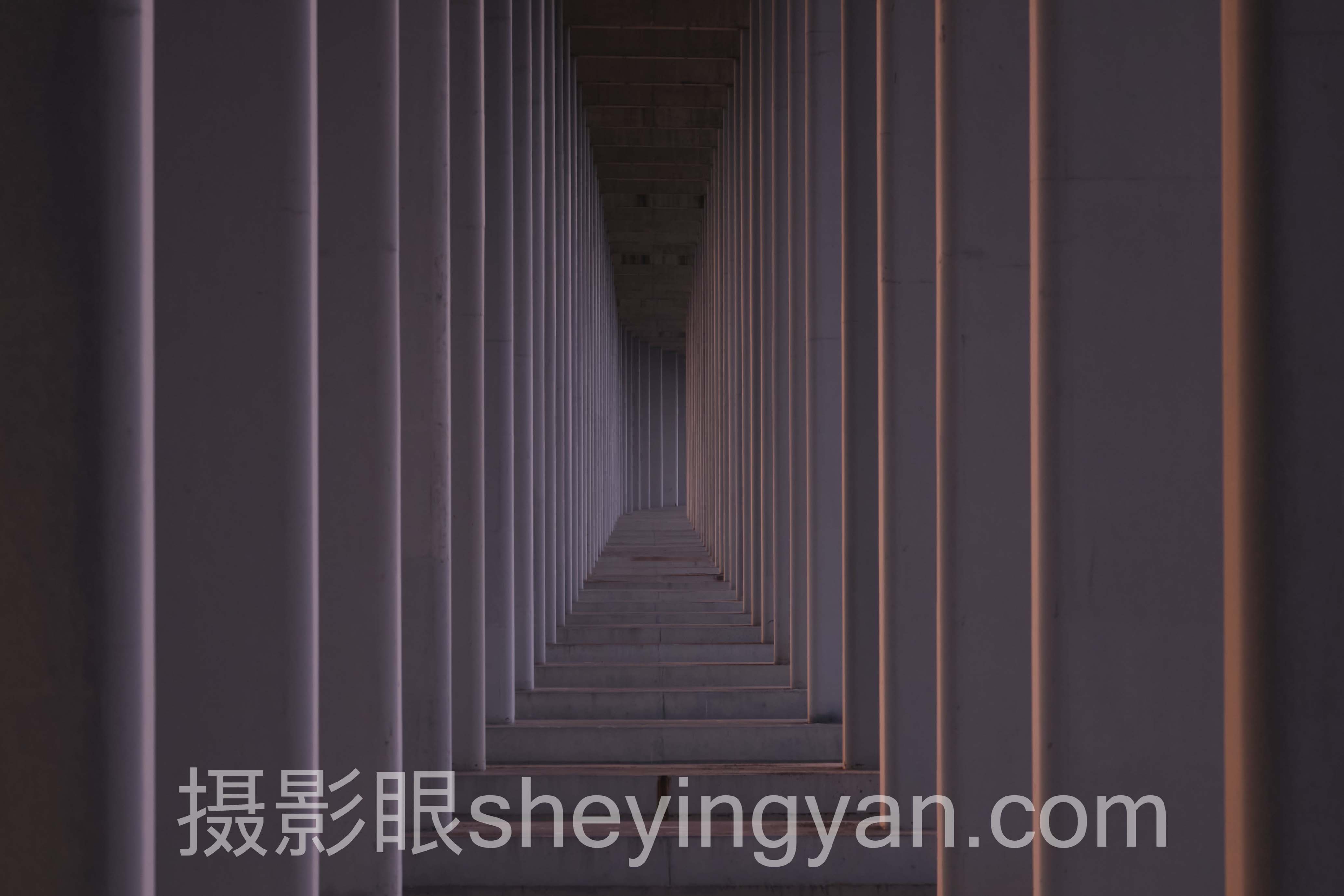 摄影要学多久深度分析：现状、挑战与未来趋势