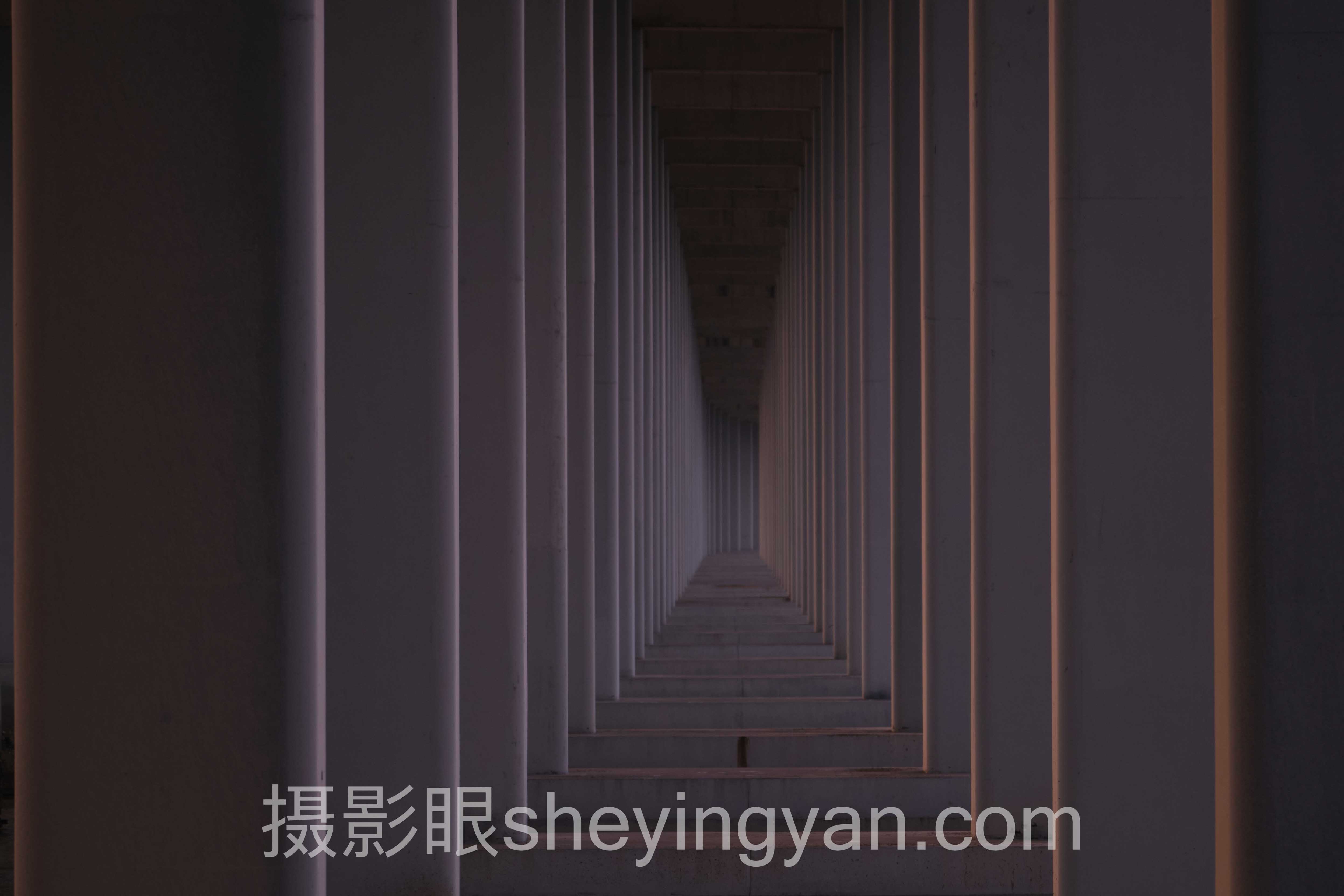 摄影眼会员免费试用深度分析：现状、挑战与未来趋势