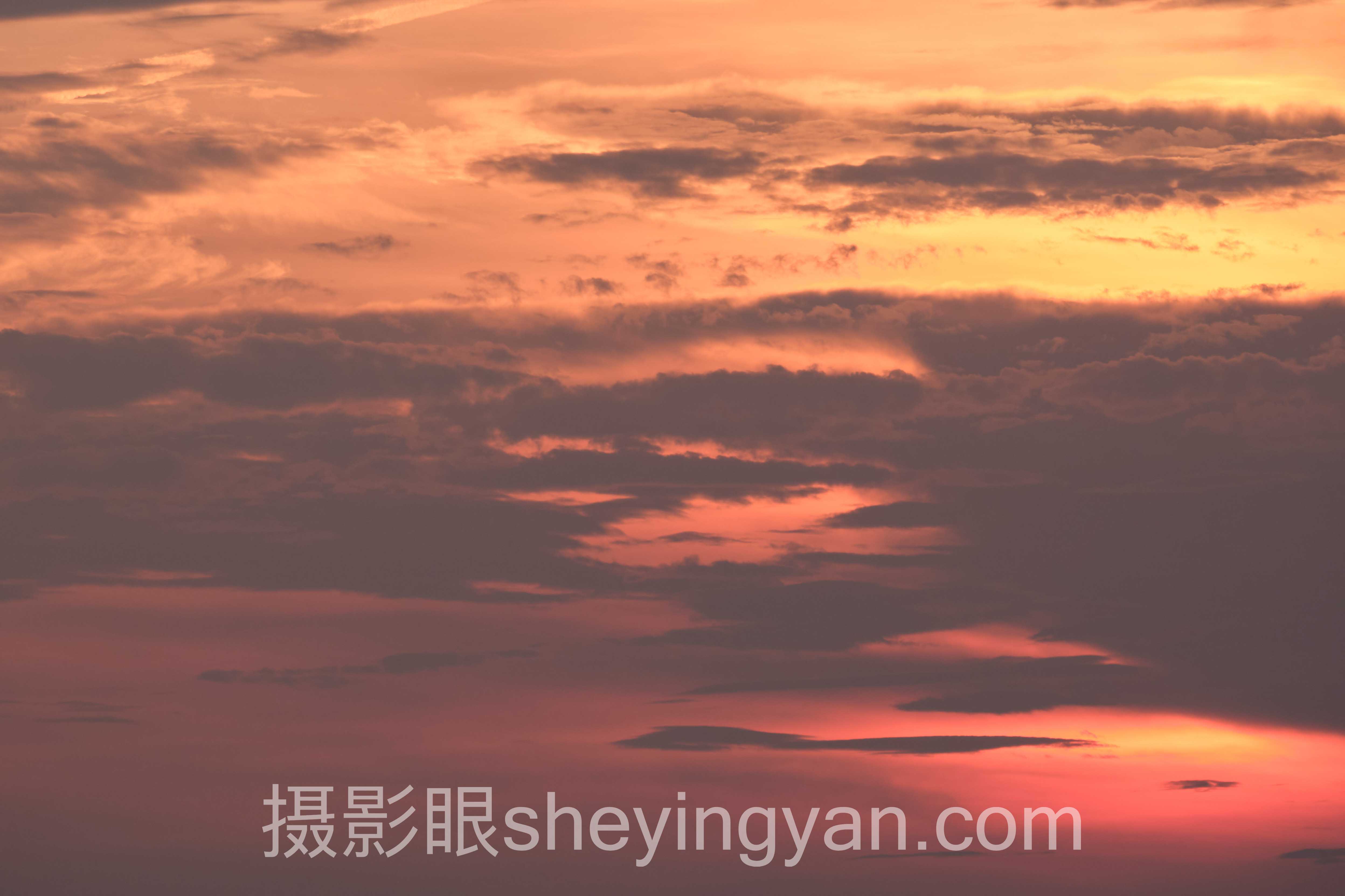 专家深度解读：婚礼摄影后期流程的机遇与挑战