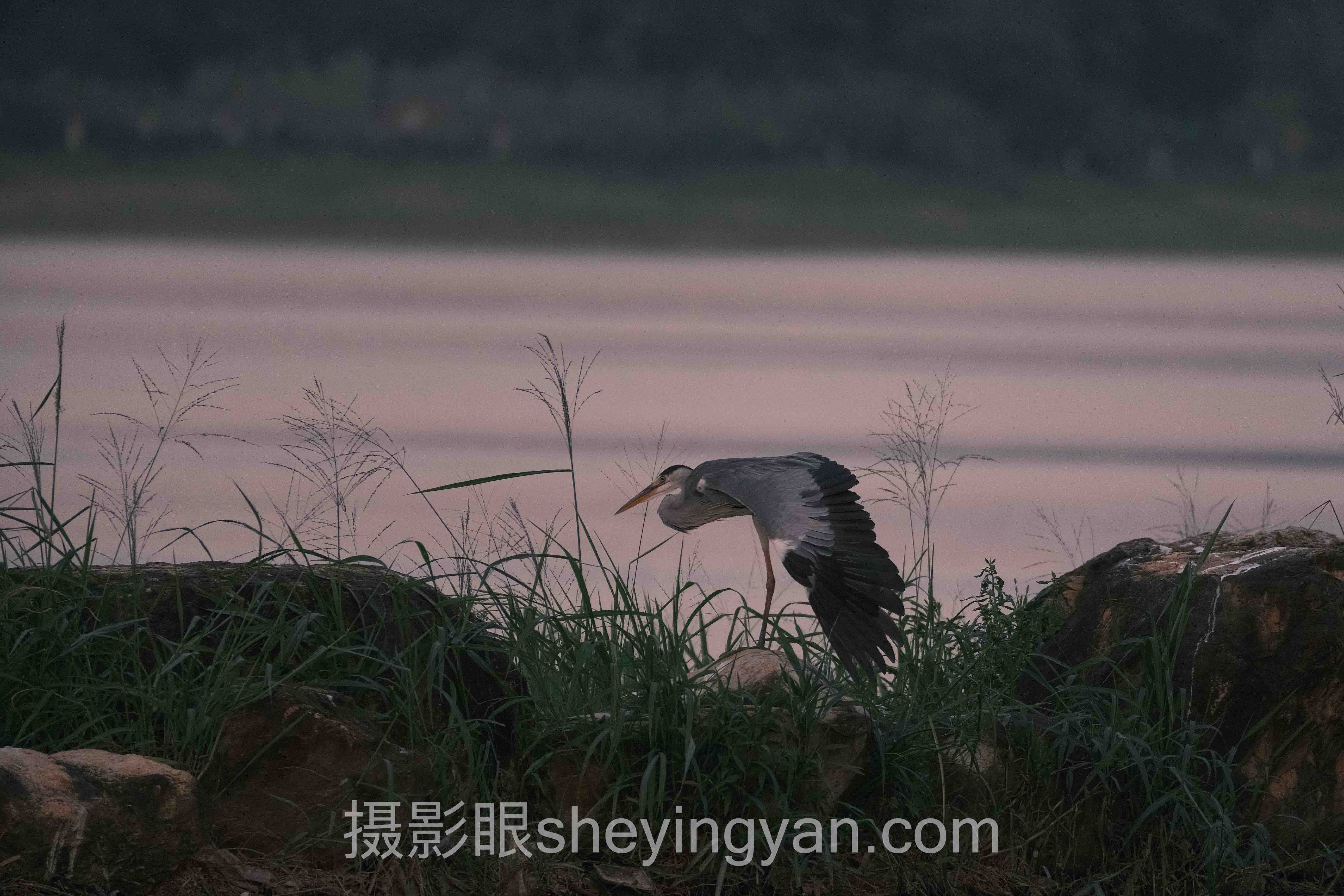 视觉中国签约需要什么深度评测:5种过审准备路径全面解析