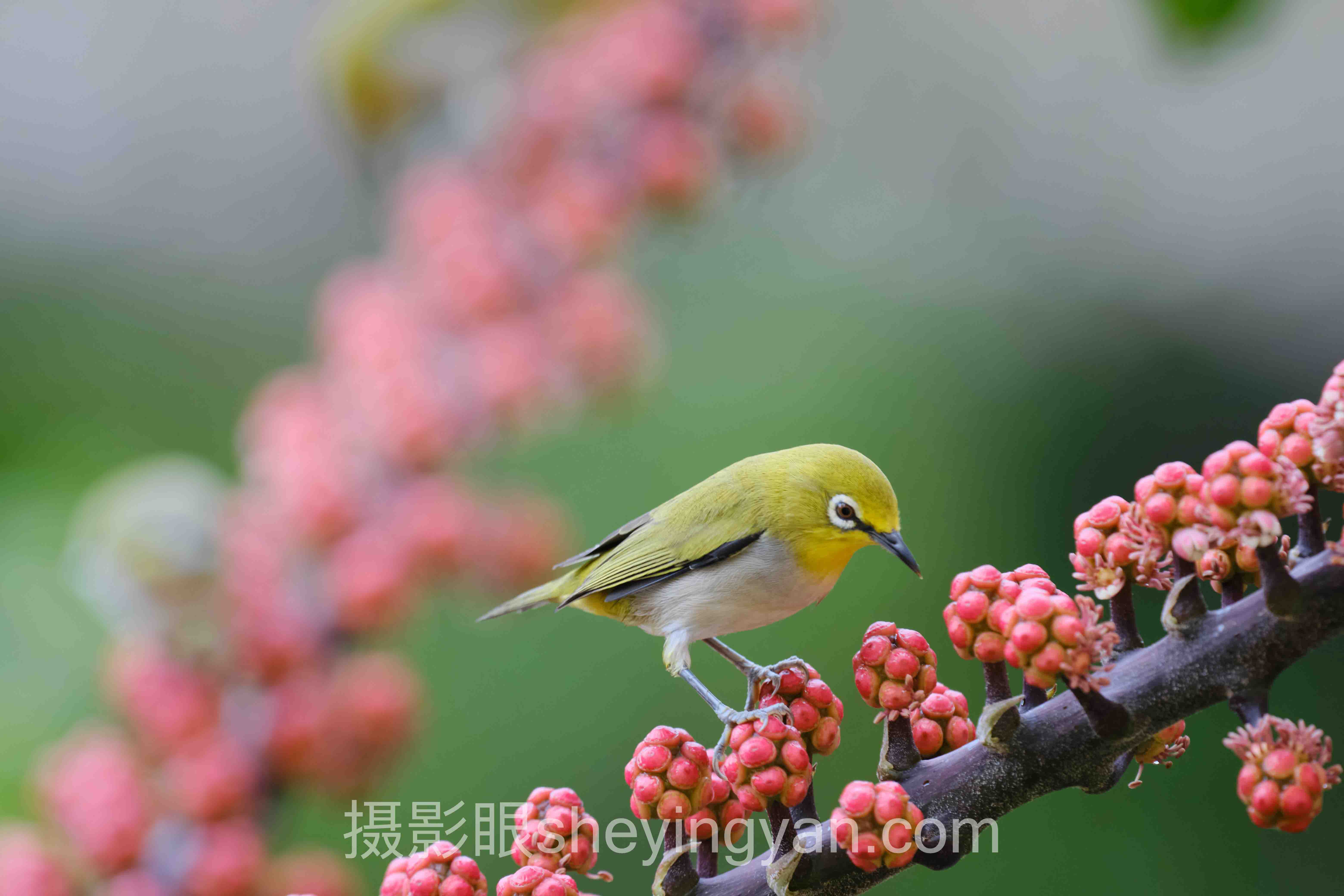 北京摄影进步培训班