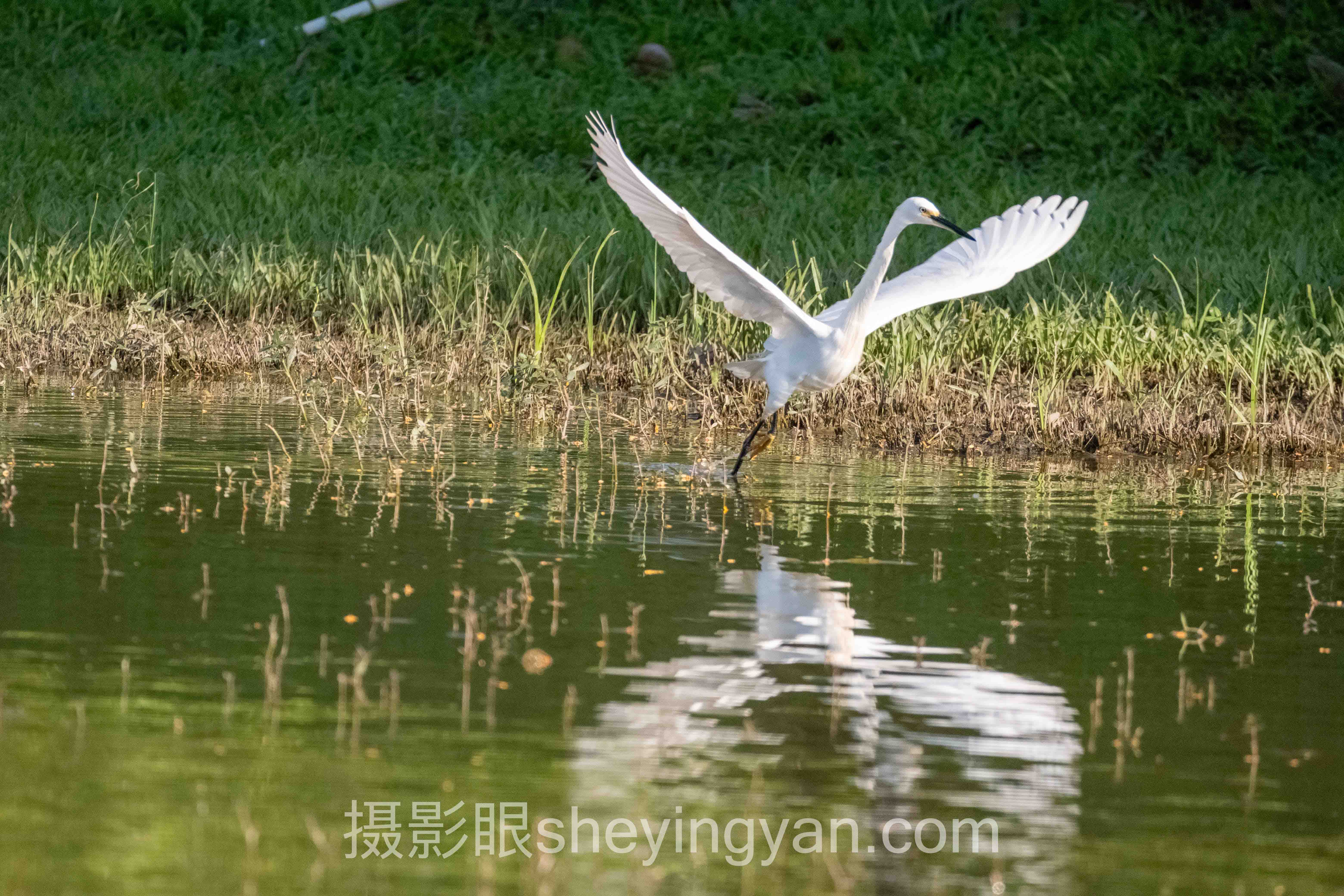 对话行业专家：摄影眼测试多少钱一次的关键洞察与前瞻