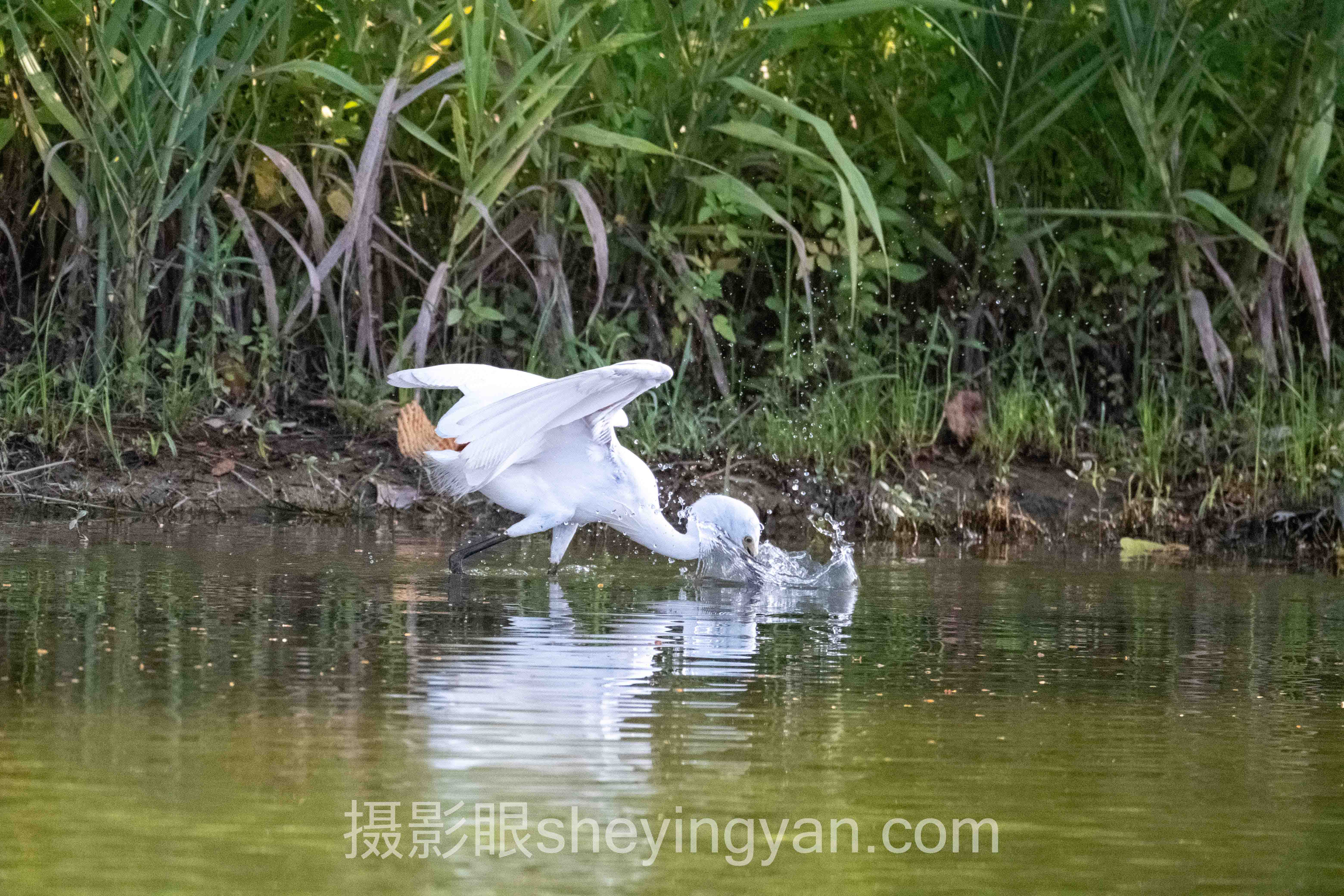 日落前一小时光线避坑指南：5个关键要点全梳理